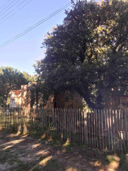 Ma Cabane Sous Les Arbres Soulac-sur-Mer Exterior photo