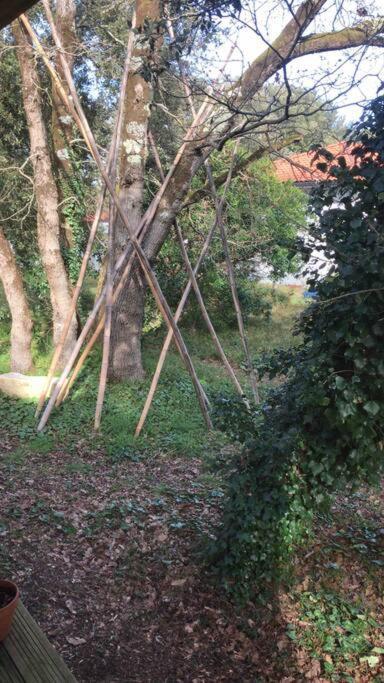Ma Cabane Sous Les Arbres Soulac-sur-Mer Exterior photo