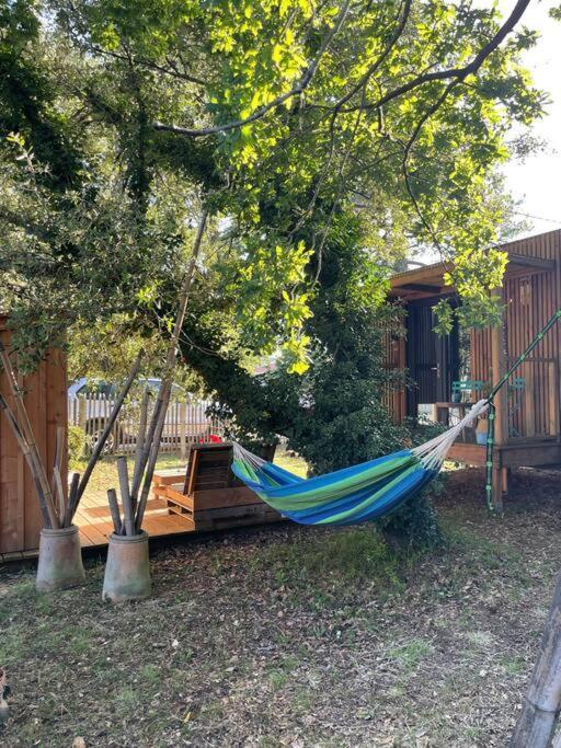 Ma Cabane Sous Les Arbres Soulac-sur-Mer Exterior photo